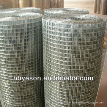 bird cage wire mesh(cheap)